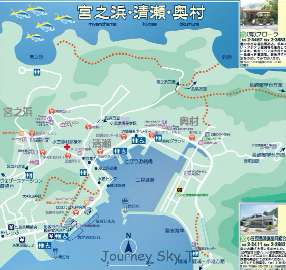 小笠原諸島の大自然、満喫!(後編)〜父島の楽しみ方